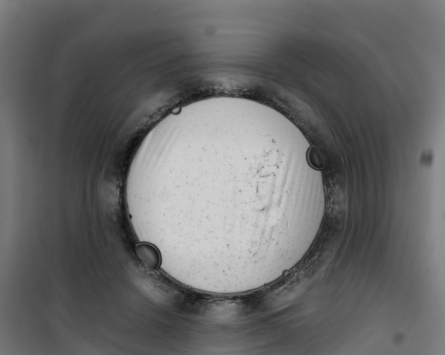 X0000100350456200807031818