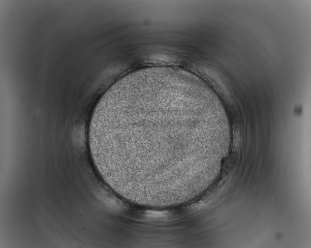 X0000100350457200807031818