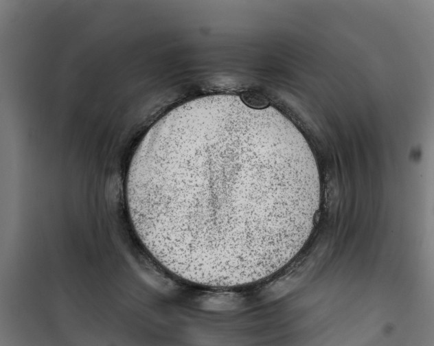 X0000100350459200807031818