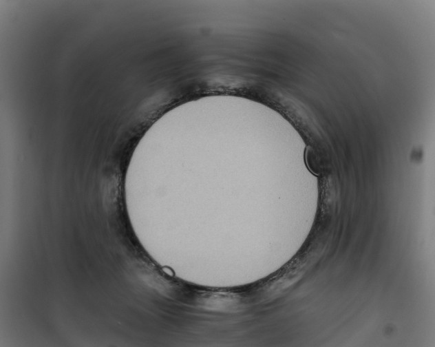 X0000100350463200807031818