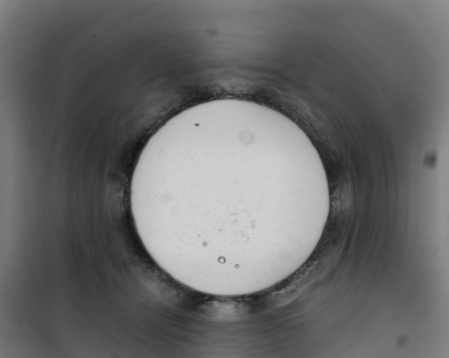 X0000100350464200807031818