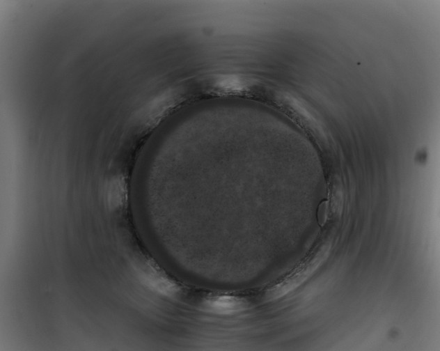 X0000100350467200807031818