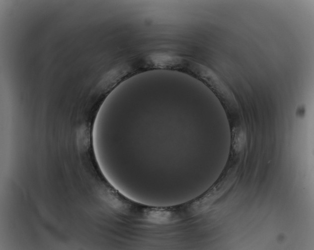 X0000100350471200807031818