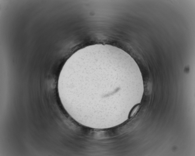 X0000100350472200807031818