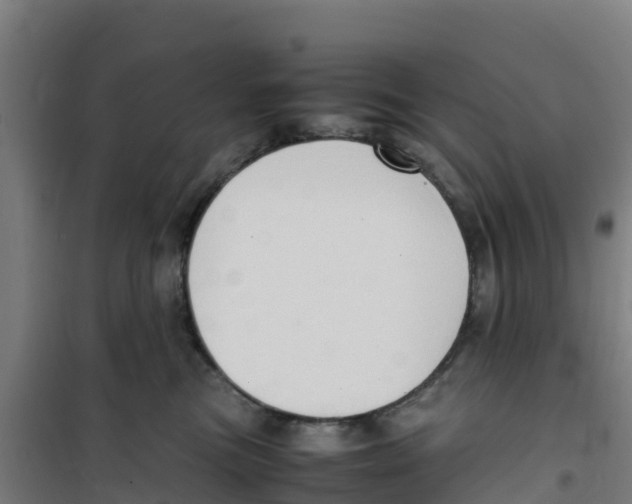 X0000100350473200807031818