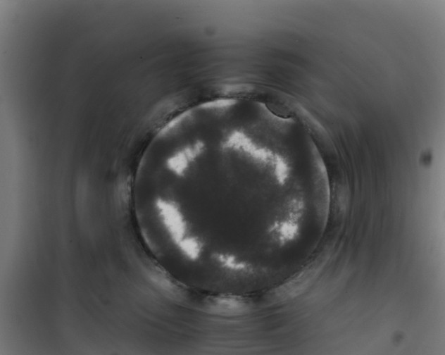 X0000100350475200807031818