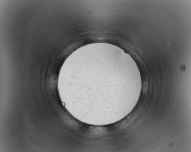 X0000100350476200807031818