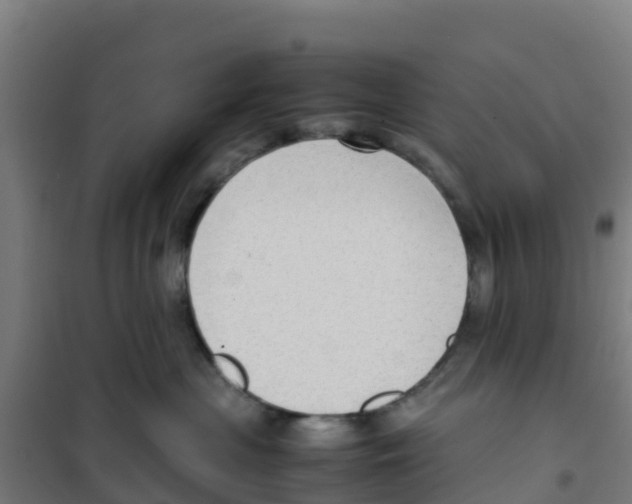 X0000100350477200807031818