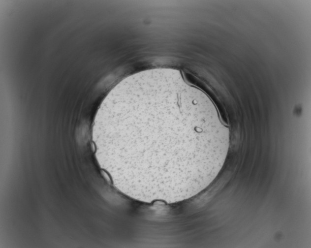 X0000100350478200807031818