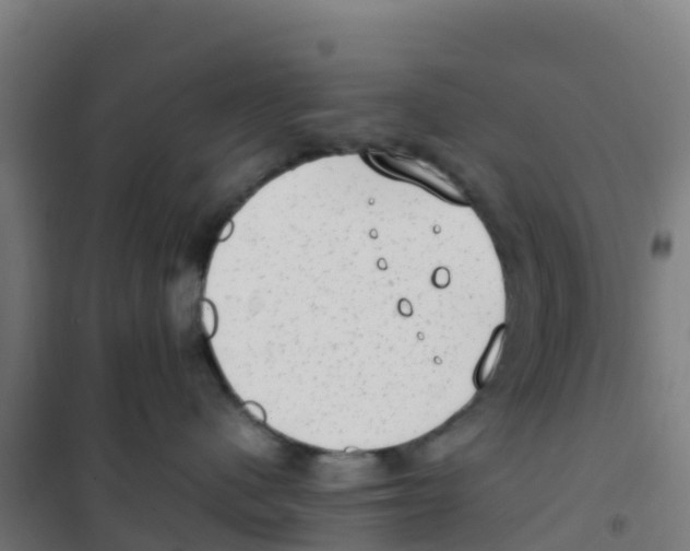 X0000100350480200807031818