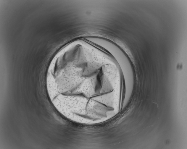 X0000100350481200807031817