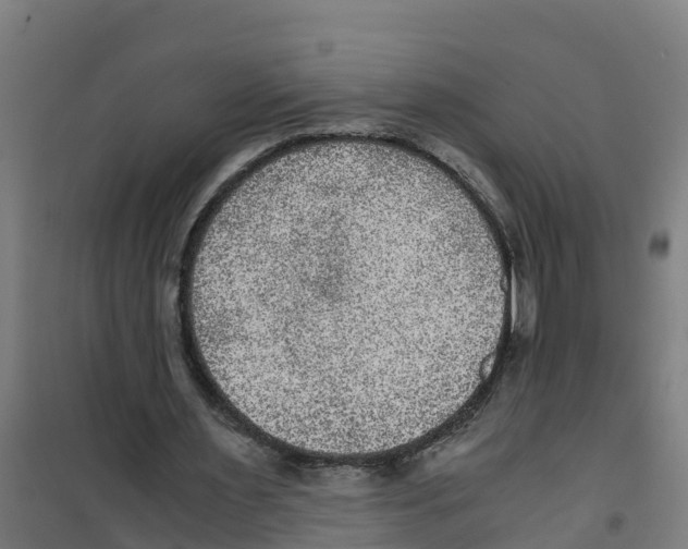 X0000100350483200807031817