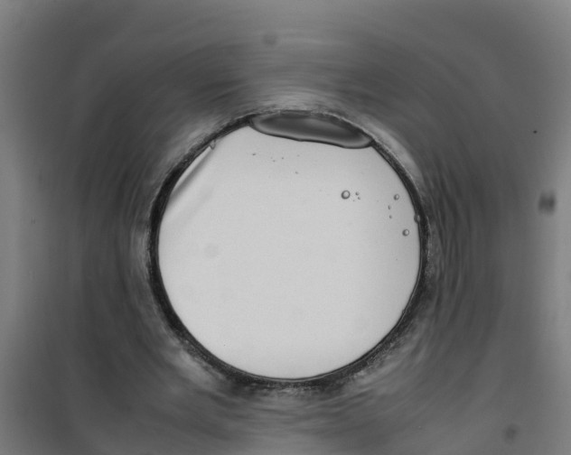 X0000100350485200807031817