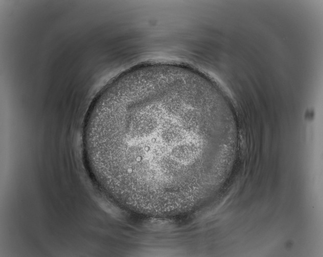 X0000100350487200807031817