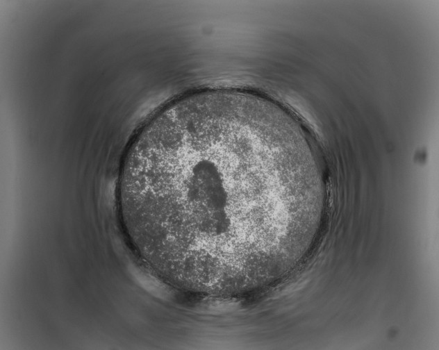 X0000100350491200807031817