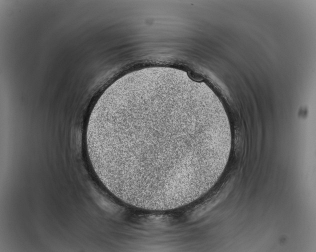 X0000100350493200807031817