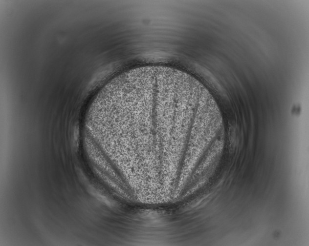 X0000100350494200807031817