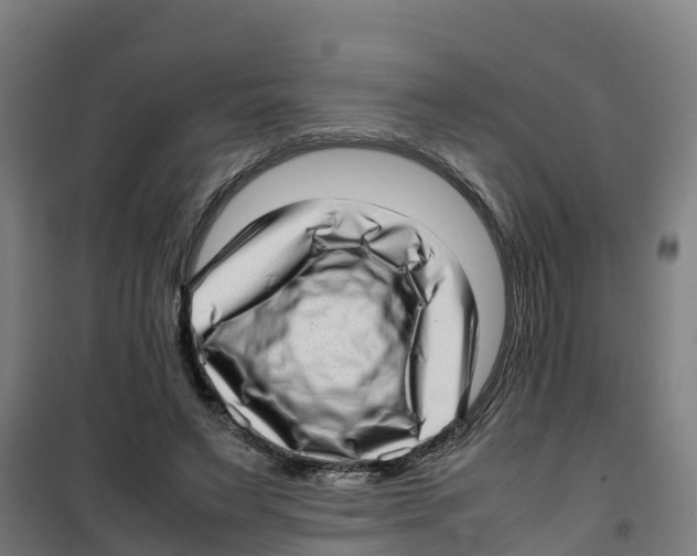 X0000100350495200807031817