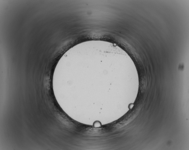 X0000100350497200807031817