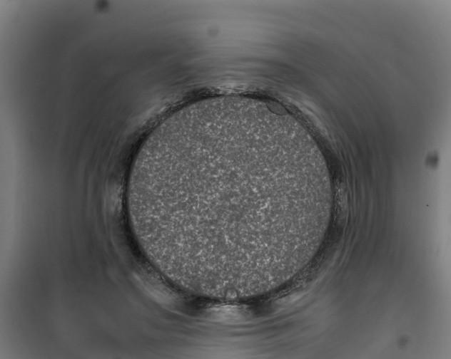 X0000100350499200807031817