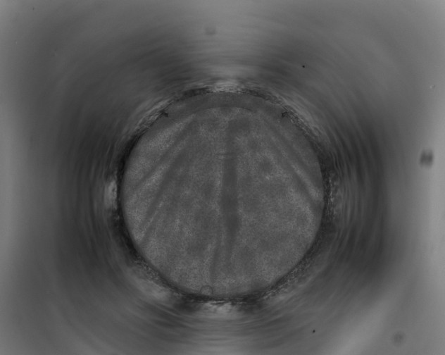 X0000100350502200807031817