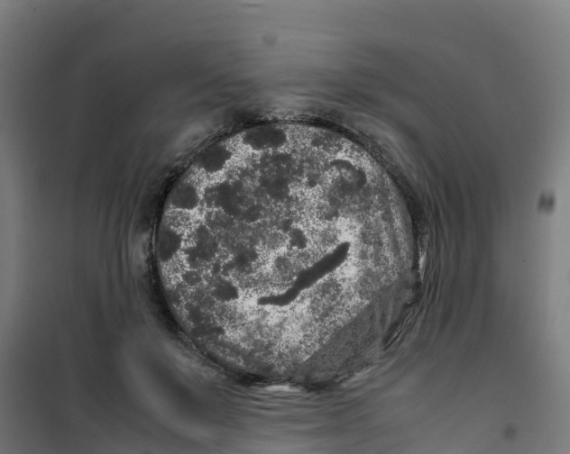 X0000100350503200807031817