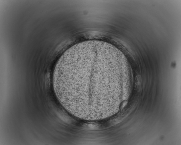 X0000100350506200807031817