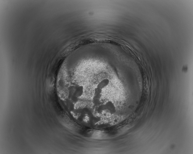 X0000100350507200807031817