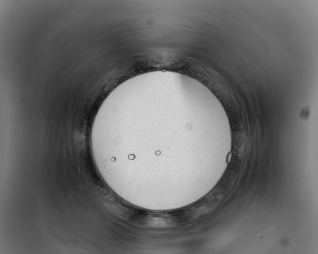 X0000100350510200807031817