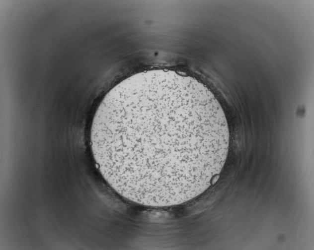 X0000100350512200807031817