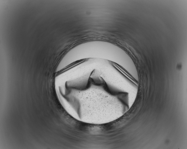 X0000100350513200807031817