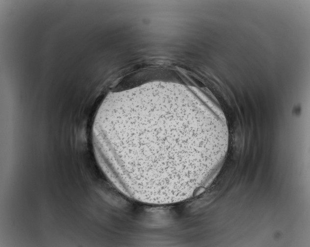 X0000100350516200807031817