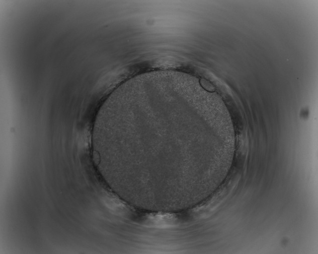 X0000100350517200807031817