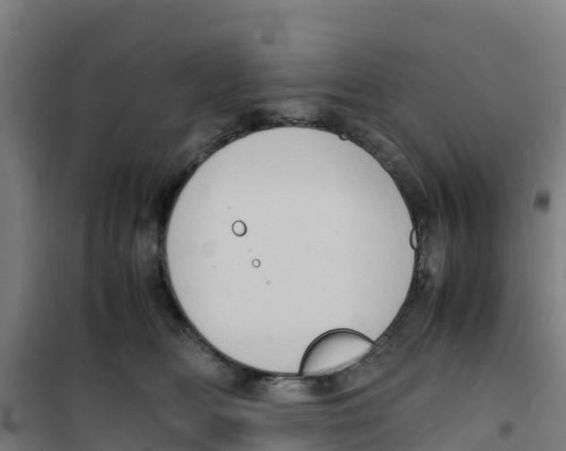 X0000100350518200807031817