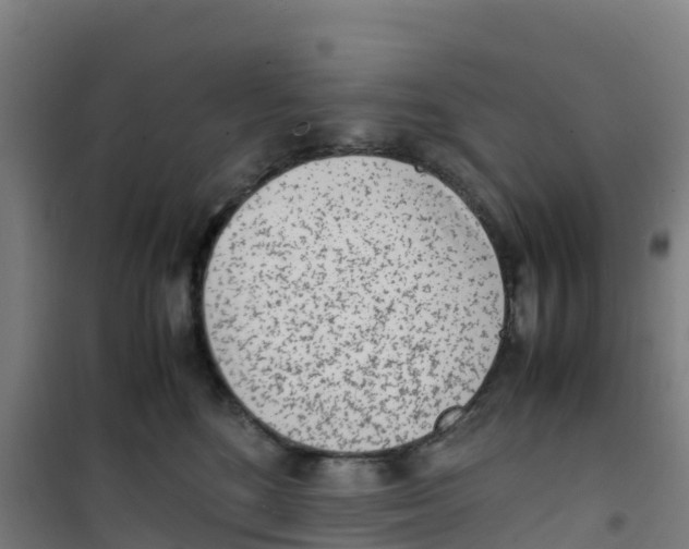 X0000100350520200807031817