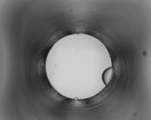 X0000100350522200807031817