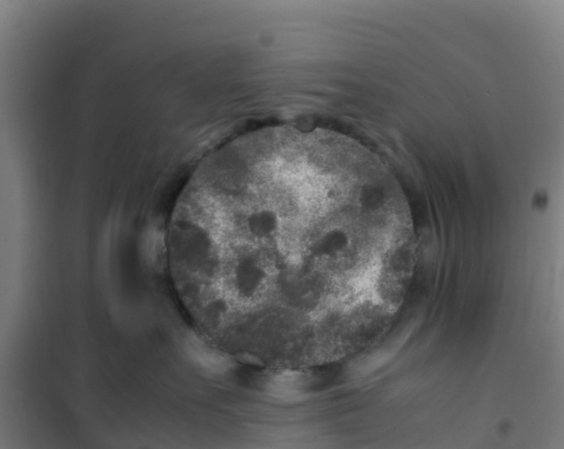 X0000100350527200807031817