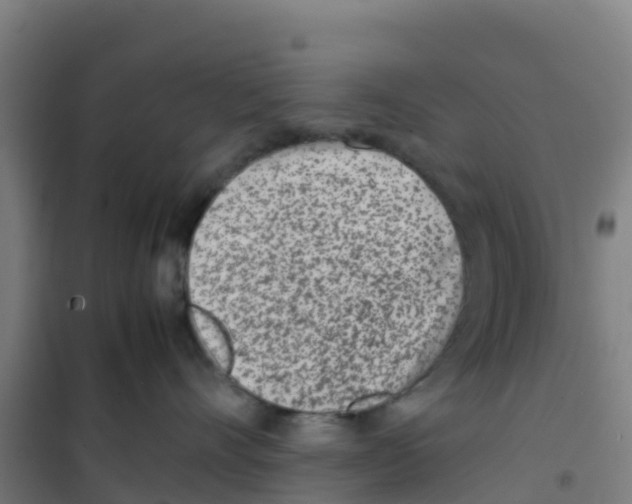 X0000100350528200807031817