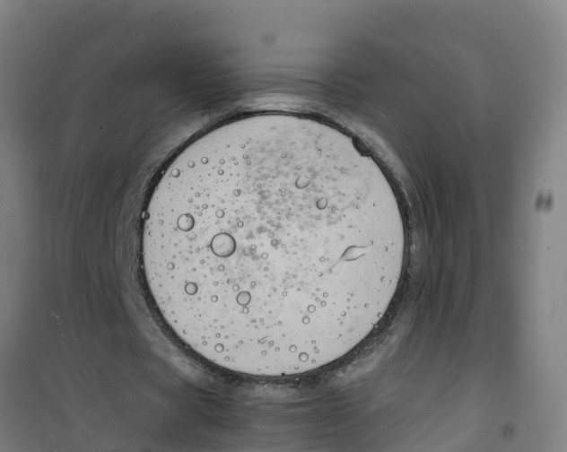 X0000100350529200807031816