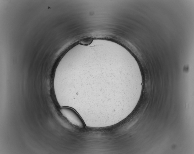 X0000100350530200807031816