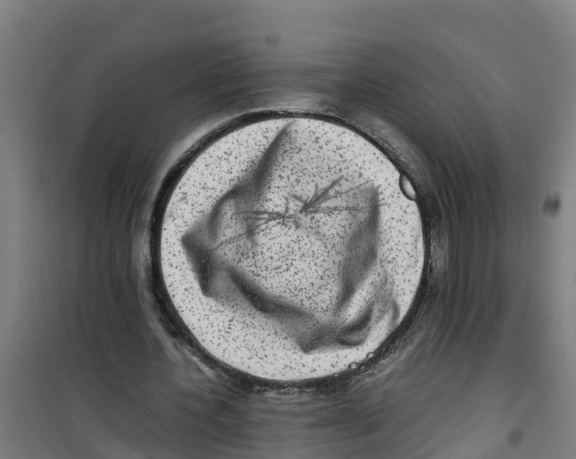 X0000100350532200807031816