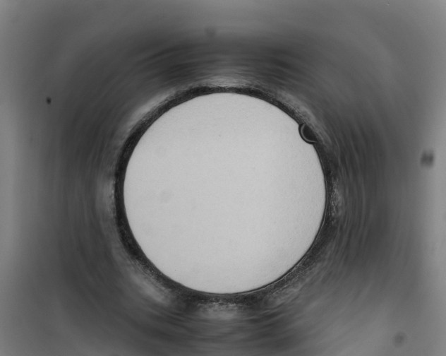 X0000100350535200807031816