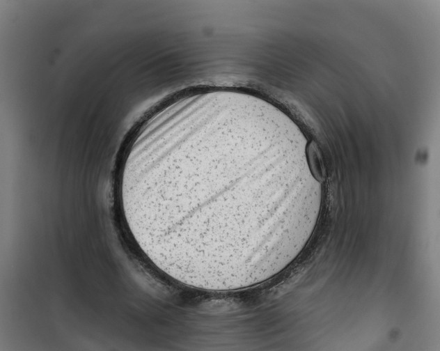 X0000100350536200807031816