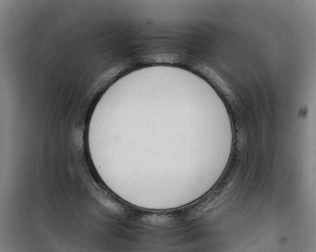 X0000100350537200807031816