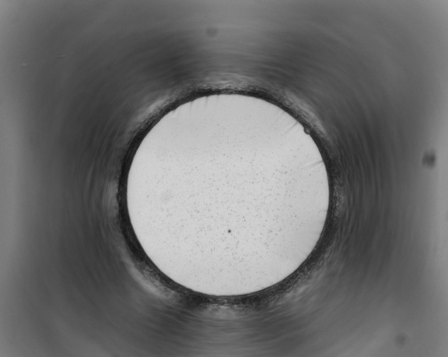 X0000100350538200807031816