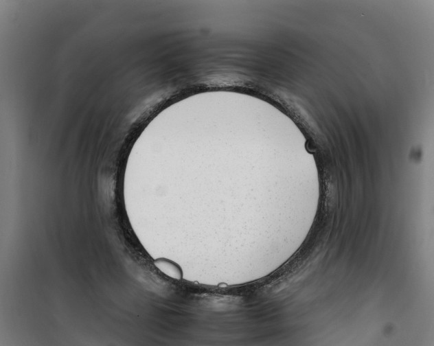 X0000100350539200807031816