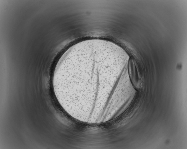 X0000100350540200807031816