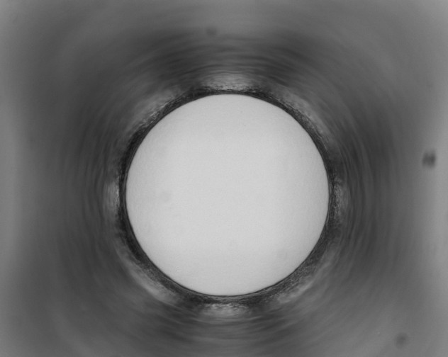 X0000100350541200807031816