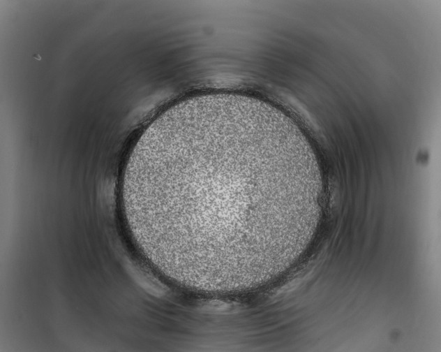 X0000100350542200807031816