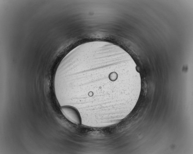 X0000100350544200807031816